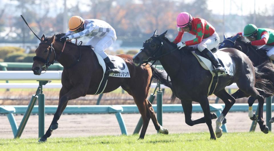 　好位から抜け出すグランカンタンテ（左）