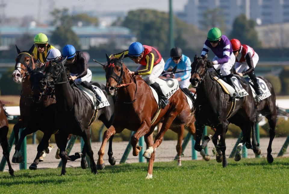 　新馬戦を快勝したチルカーノ（中央）＝撮影・石湯恒介