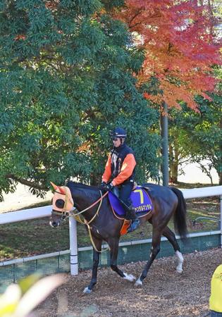【朝日杯ＦＳ】ジャンタルマンタル　鞍上・川田で盤石の態勢　高野師「馬のために勝たせてあげたい」