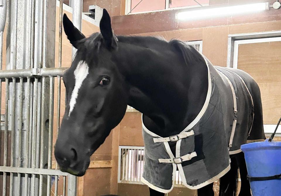 　レースから一夜明けたアスコリピチェーノ