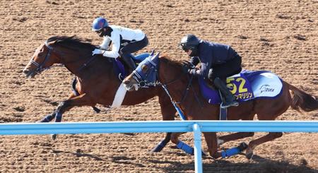 【有馬記念】ソールオリエンス　ウインマリリンに１馬身半先着　手塚師も「動きは良かった」と及第点