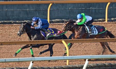 【有馬記念】ジャスティンパレス　折り合い重視で３馬身半先着　横山武「弾むようなフットワーク」