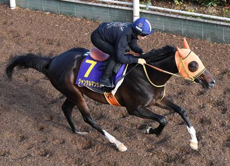 　栗東坂路で追い切るジャンタルマンタル