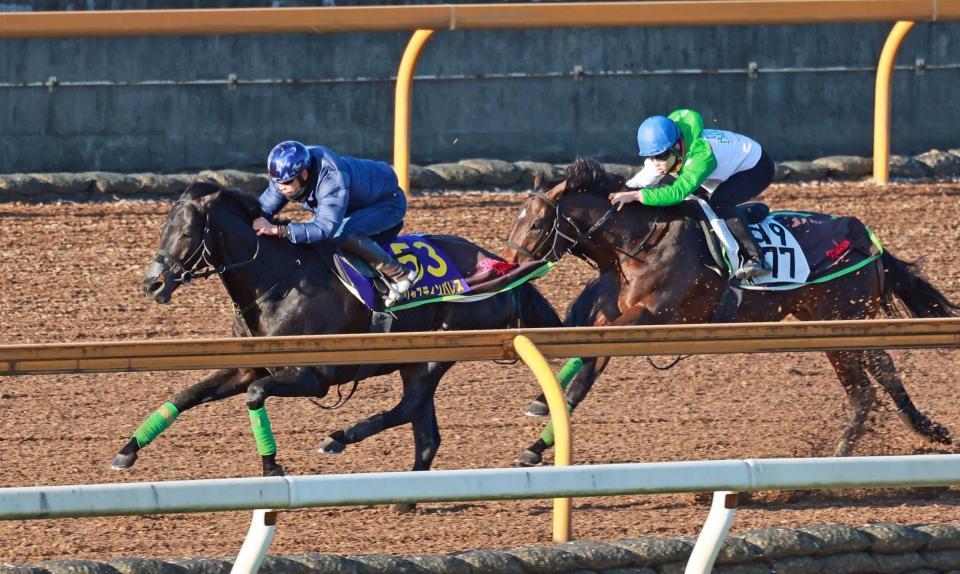 　横山武を背に軽快な動きを見せたジャスティンパレス（左）