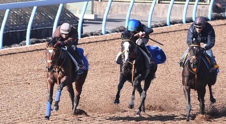 【有馬記念】タスティエーラ滑らか加速　３頭併せ最先着　堀師「集中して走れていました」