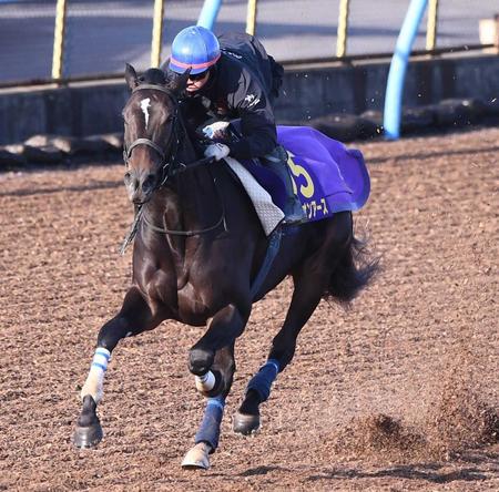 【有馬記念】スターズオンアース上昇一途　順調をアピール　僚馬２頭に１馬身半「時計も想定通り」