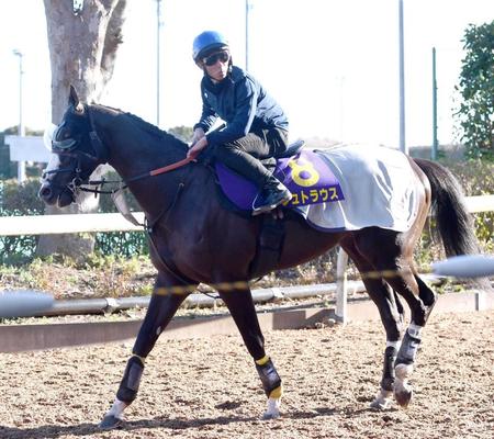 【朝日杯ＦＳ】シュトラウスは自分との戦い  指揮官「やったね」大外枠歓迎