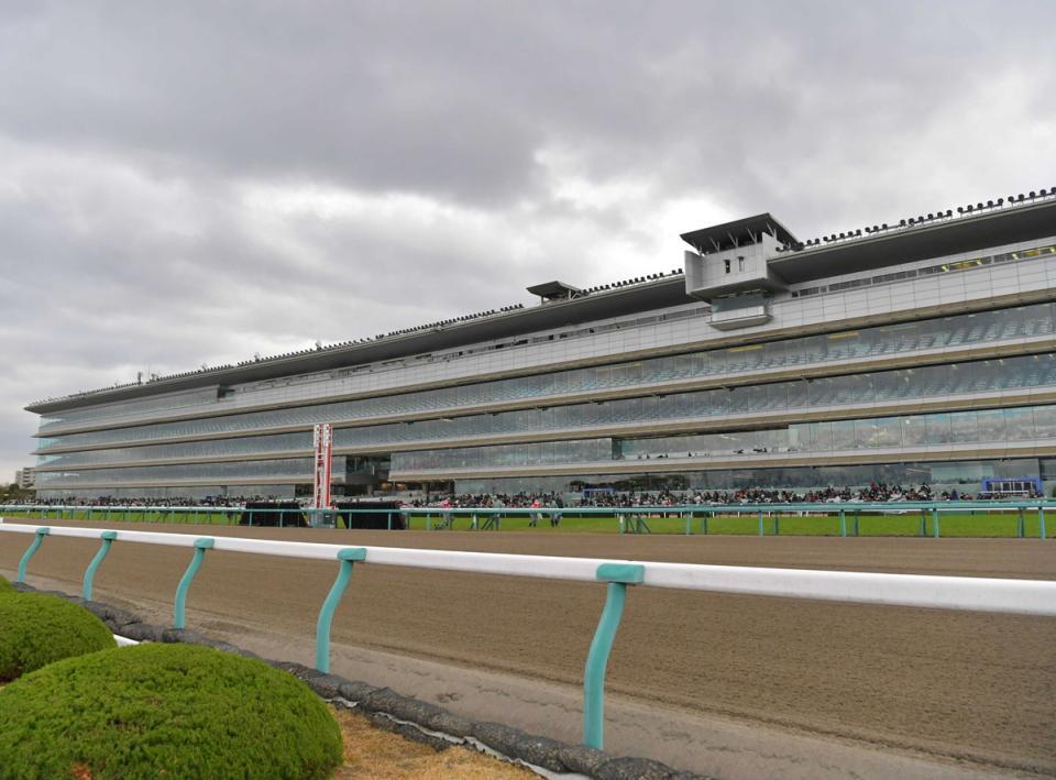 　阪神競馬場