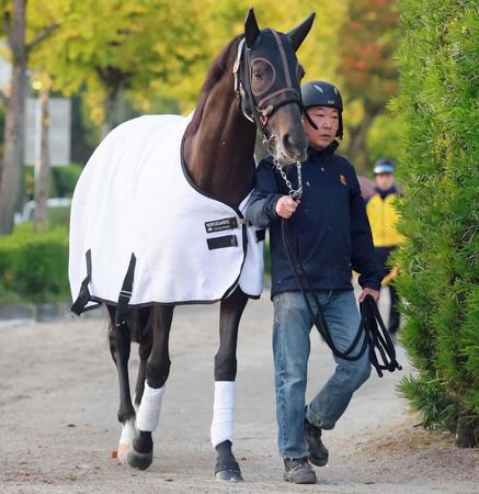 シャフリヤールは松山との新コンビで有馬記念へ