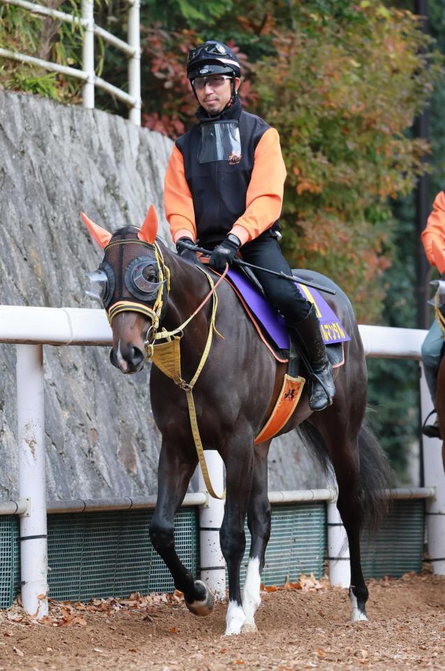 　無敗の２歳マイル王を狙うジャンタルマンタル