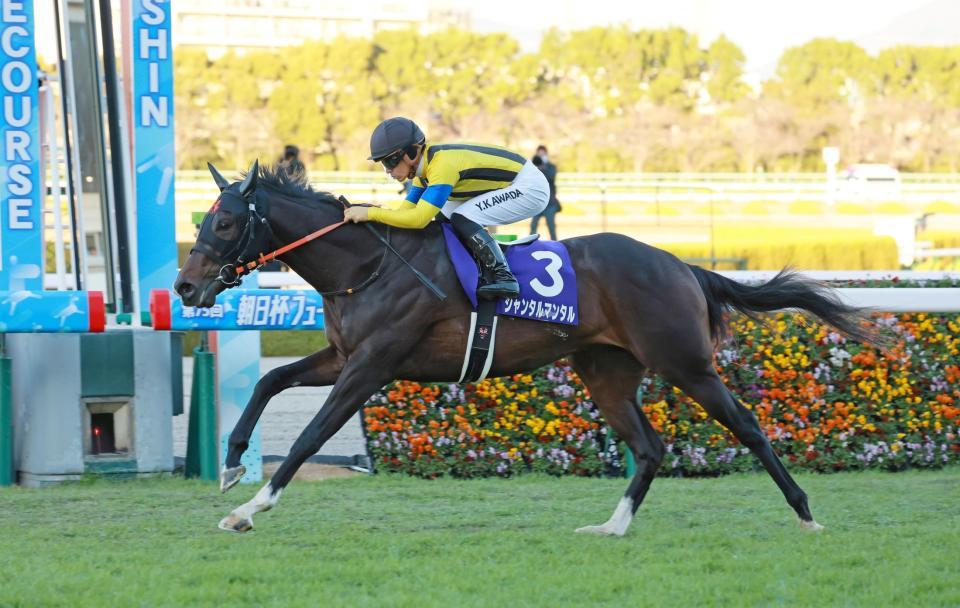 　朝日杯ＦＳを制したジャンタルマンタル（撮影・石湯恒介）