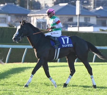 【朝日杯ＦＳ】シュトラウス発馬遅れて１０着　マーカンド「大外は厳しかったです」