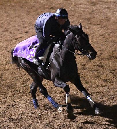 　美浦坂路をダイナミックに駆け上がるスターズオンアース