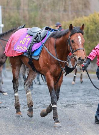 グレナディアガーズ阪神Ｃがラストラン　社台スタリオンステーションで種牡馬入り