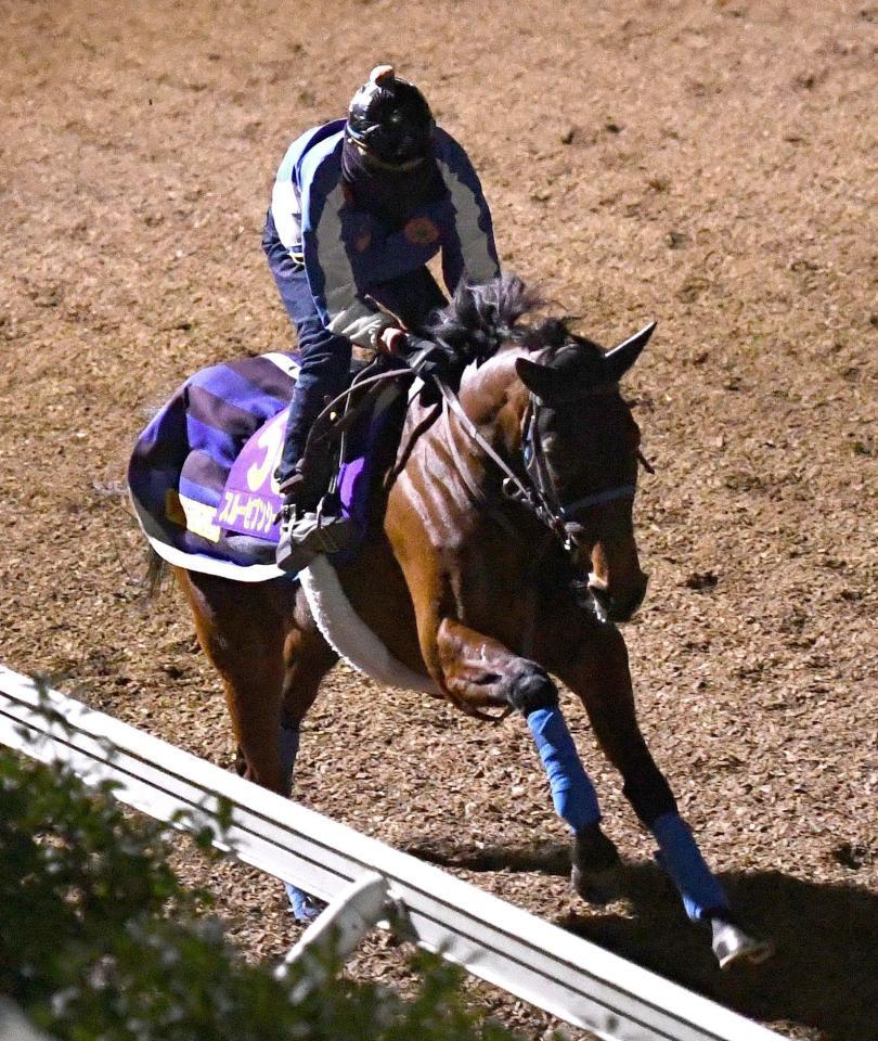 　美浦単走で駆け上がるスルーセブンシーズ（撮影・園田高夫）