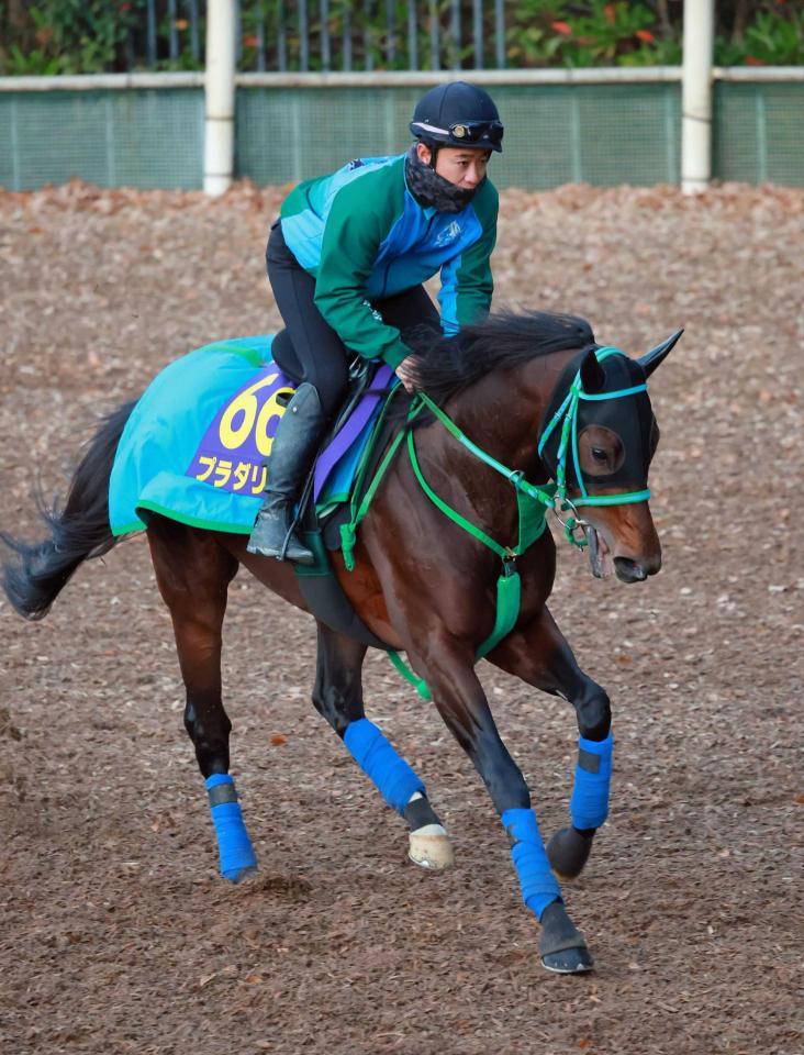 有馬記念プラダリア馬券 安全Shopping - その他