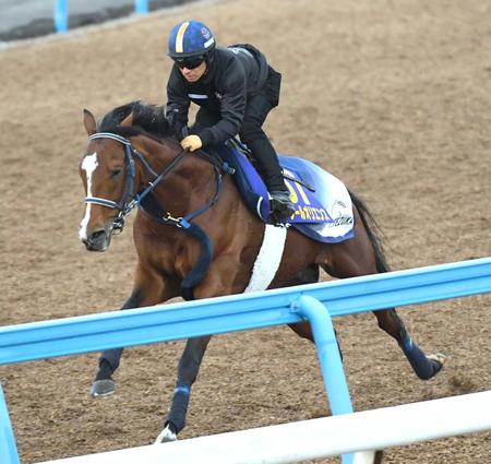 　快活な走りを見せたソールオリエンス（撮影・三好信也）