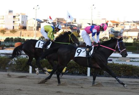 【地方競馬】千葉ロッテ吉井監督の所有馬リジンが初黒星