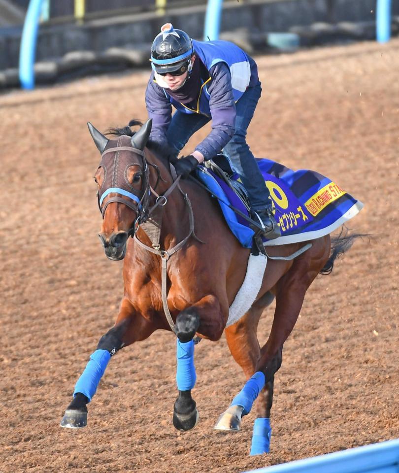 　文句なしの脚さばきを見せたスルーセブンシーズ