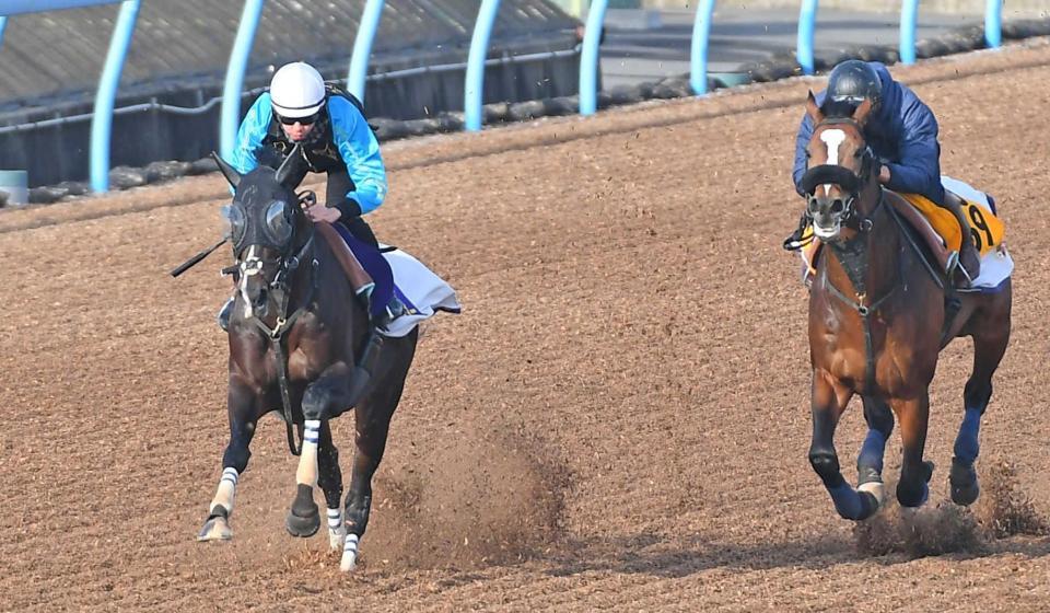 　僚馬に先着したタイトルホルダー（左）＝撮影・三好信也