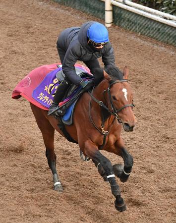 【阪神＆中山の危険な人気馬】グレナディアガーズ　阪神１１Ｒ