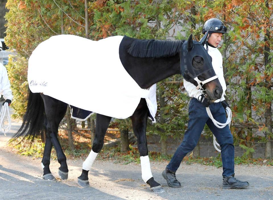 　３年連続参戦のディープボンド