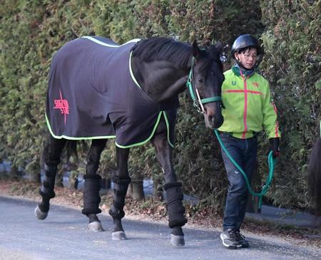 【有馬記念】ジャスティンパレス　落ち着き好ムード　杉山晴師「思い描いていた調整できている」