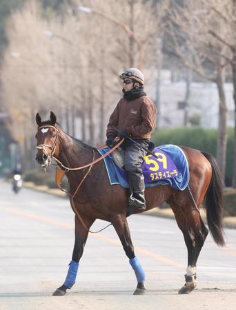 【有馬記念】タスティエーラ好感触　ムーア「楽しみにしている」