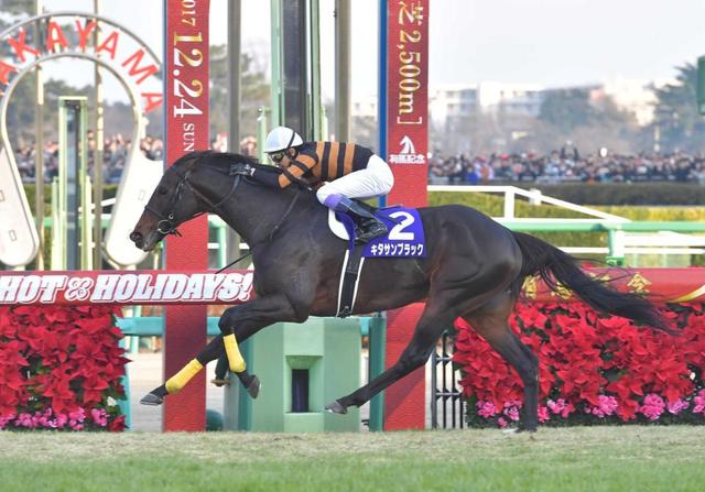 有馬記念】キタサンブラックが10万人超のファンへ届けた最後の“祭り”