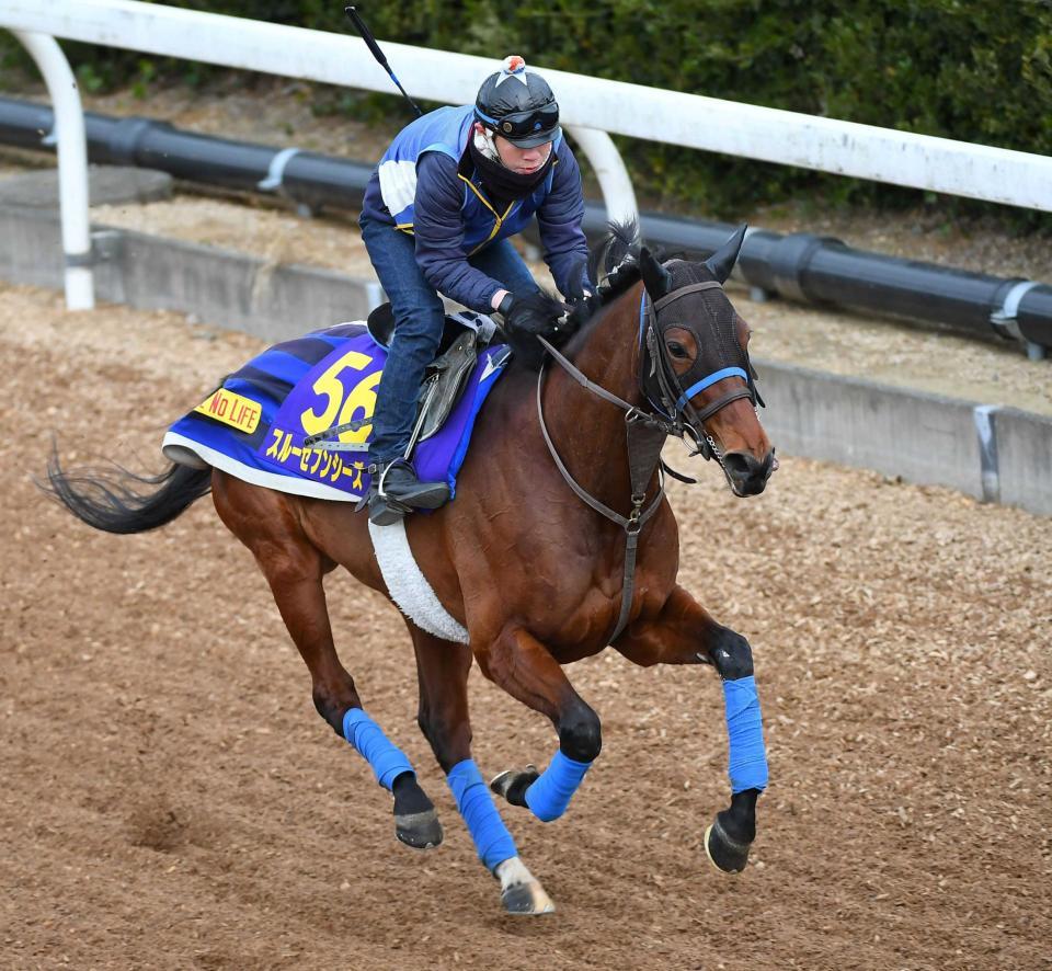 　凱旋門賞４着からの帰国初戦となるスルーセブンシーズ