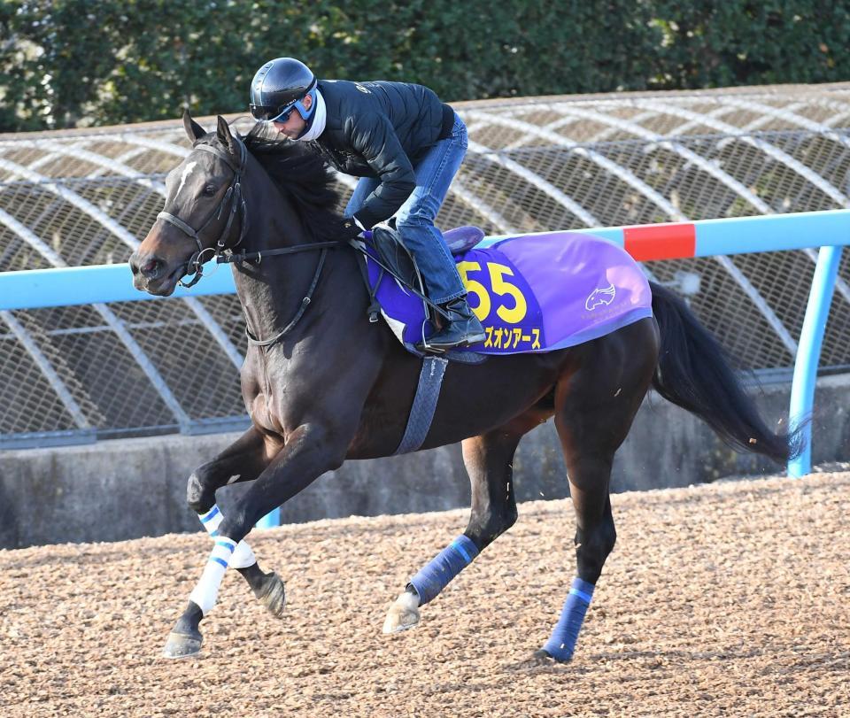 　大外枠からＶを狙うスターズオンアース