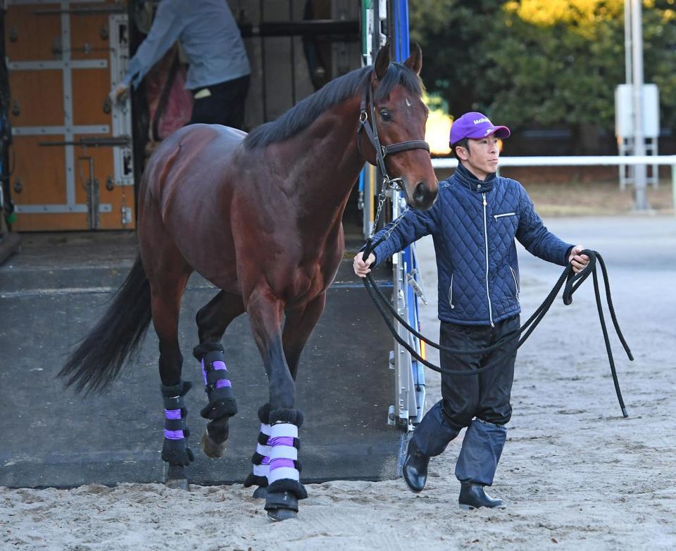 　中山競馬場に到着したヒートオンビート（撮影・三好信也）