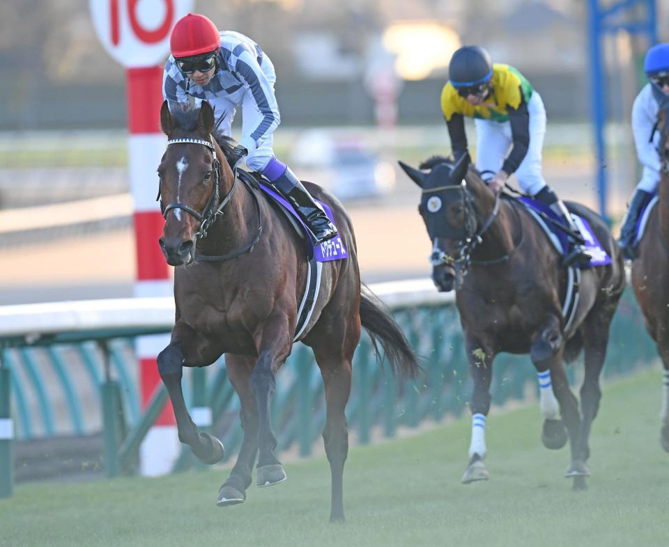 　有馬記念を制したドウデュース（撮影・三好信也）