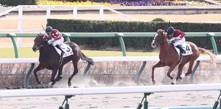 【新馬戦】パドマ　好発決めて完勝　加藤ようやく２３年初勝利「急きょ“中山に行ってこい”と」