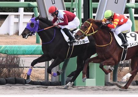 【新馬戦】タッカー　８番人気が猛追振り切った　永野「人気はなくても自信はありました」