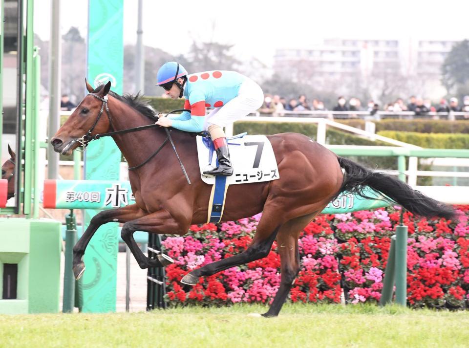 　２歳新馬戦を勝利したニュージーズ（撮影・園田高夫）