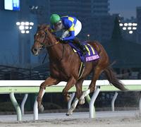 　東京２歳優駿牝馬を制したローリエフレイバー（撮影・佐々木彰尚）