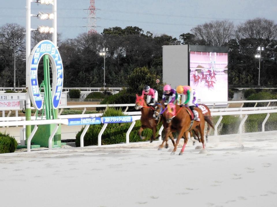 　デビュー４戦目で重賞初制覇のマルカイグアス（右）＝撮影・中山伸治