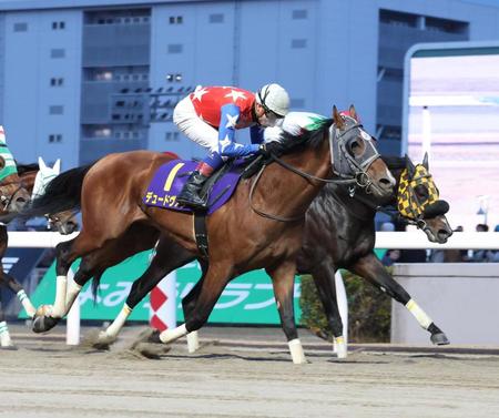 　川崎マイラーズを制したデュードヴァン（手前）