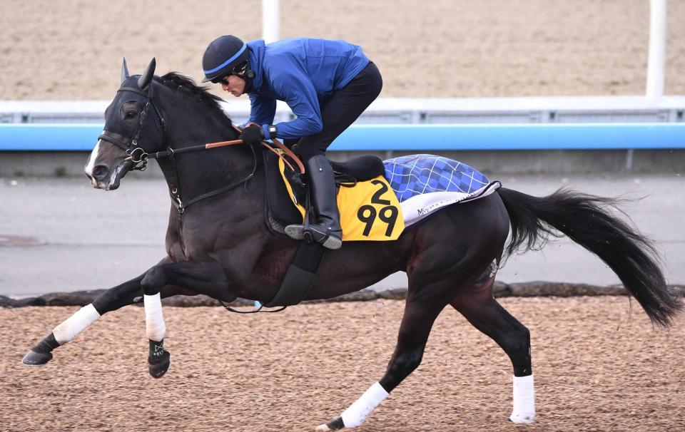 　力感あふれる動きを披露したエピファニー（撮影・園田高夫）