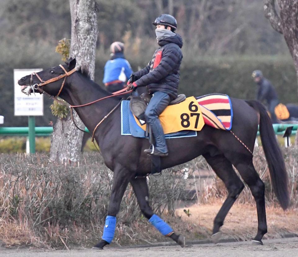 　重賞初制覇を狙うサクラトゥジュール