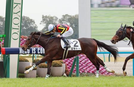 　エラトーで来日初勝利を果たしたルメートル（撮影・石湯恒介）