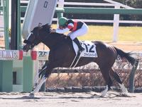 　３歳未勝利戦を制したファイントパーズ（撮影・園田高夫）