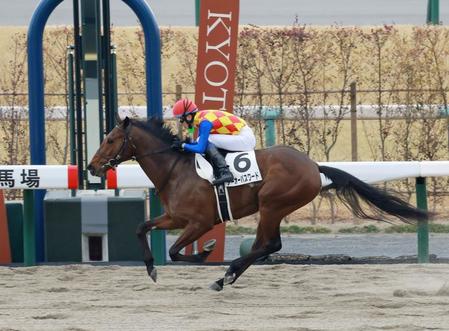 　新馬戦を快勝したテーオーパスワード（撮影・石湯恒介）