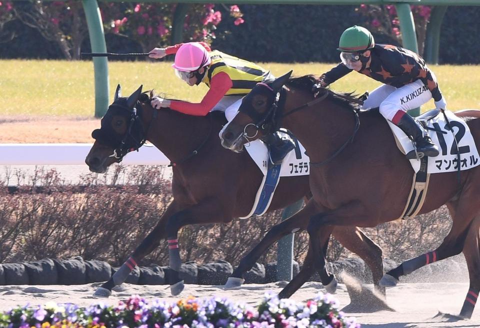 　新馬戦を制したフェデラルスタイル（左）＝撮影・園田高夫