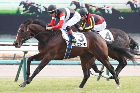 【新馬戦】スティンガーグラス　鋭伸差し切りＶ　ルメール「伸びしろがある」