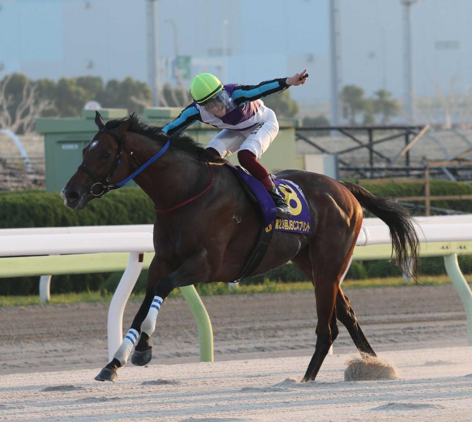 地方競馬】年度代表馬はイグナイター 兵庫県競馬が昨年の優秀競走馬を発表