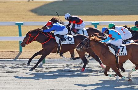 　新馬戦を快勝したタイセイミニスター（左）＝京都競馬場（撮影・石湯恒介）