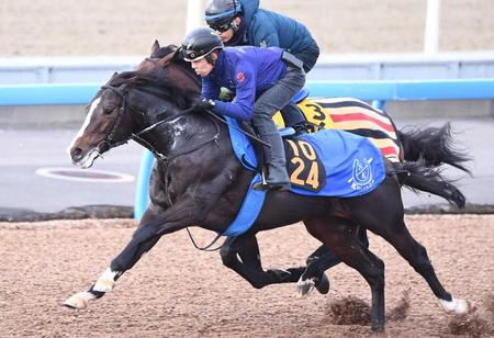 　無傷２連勝での重賞獲りを狙うバードウォッチャー