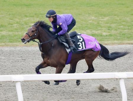 　順調な仕上がりを示したジュンゴールド